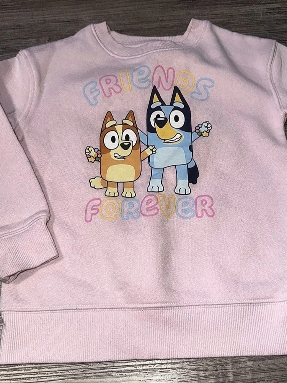 Bluey Friends Forever Sweatshirt Pink